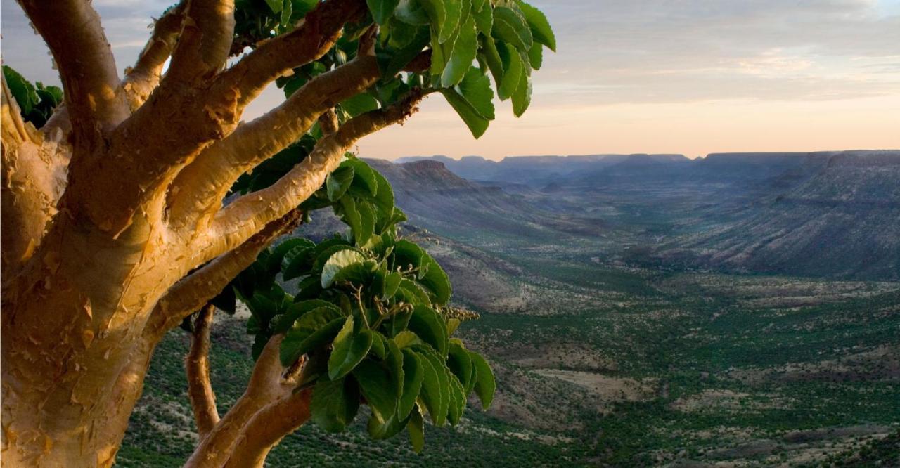 Grootberg Lodge ดามาราลันด์ ภายนอก รูปภาพ