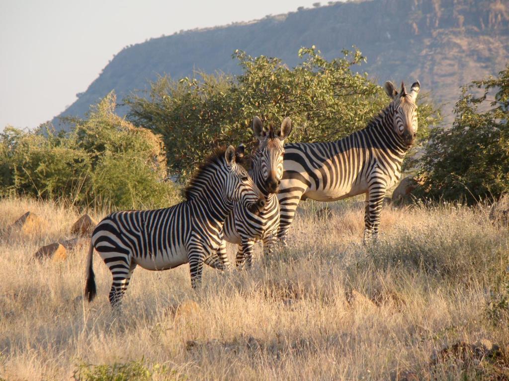 Grootberg Lodge ดามาราลันด์ ภายนอก รูปภาพ