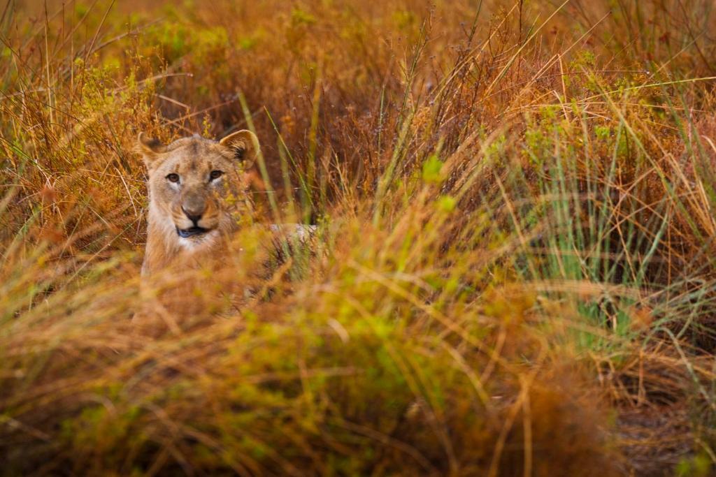 Grootberg Lodge ดามาราลันด์ ภายนอก รูปภาพ