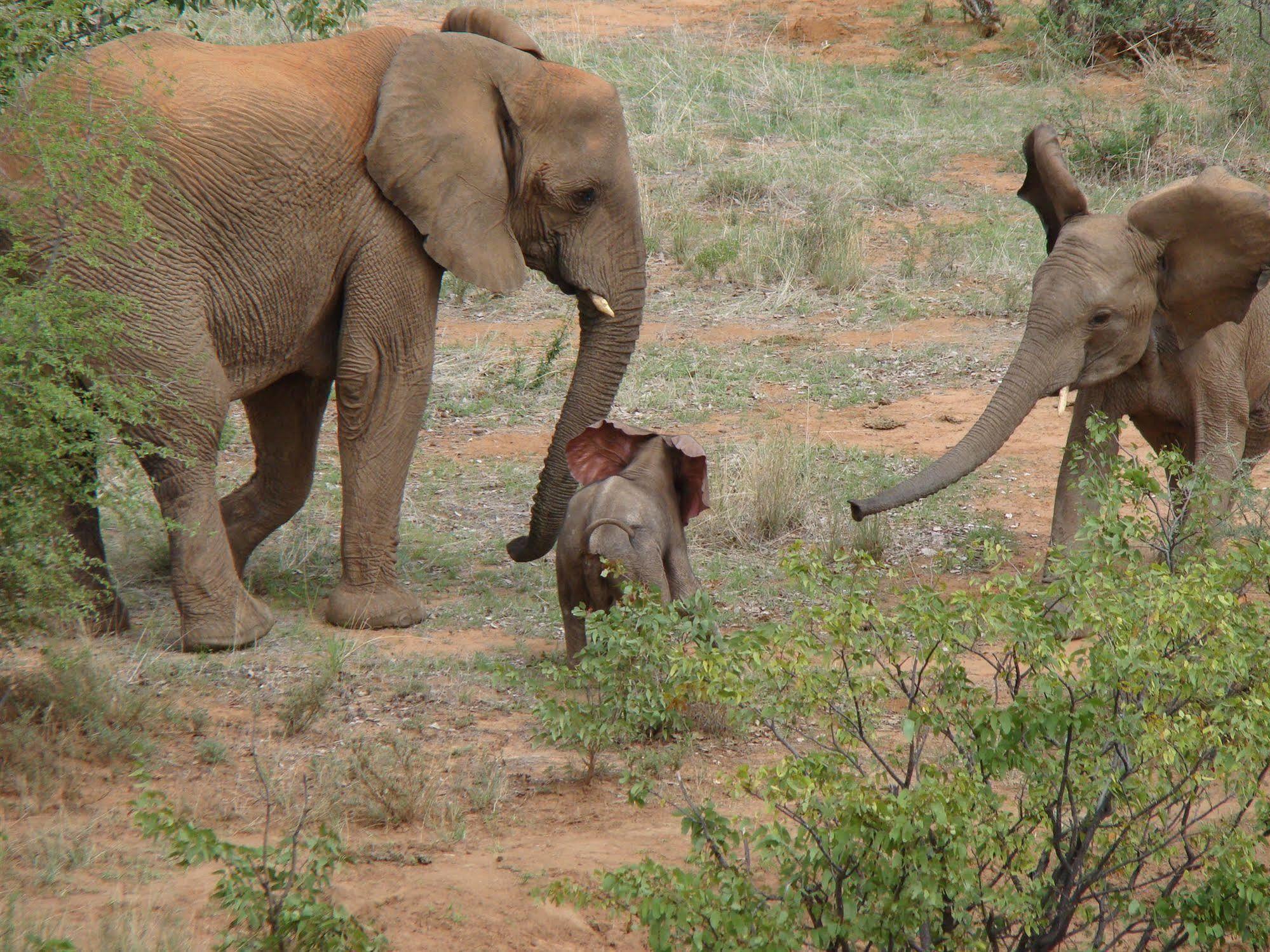 Grootberg Lodge ดามาราลันด์ ภายนอก รูปภาพ