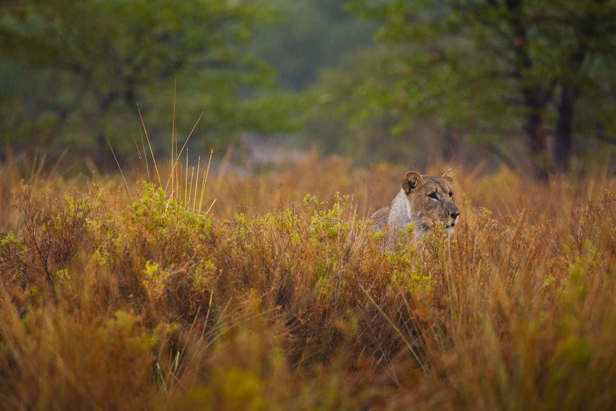 Grootberg Lodge ดามาราลันด์ ภายนอก รูปภาพ