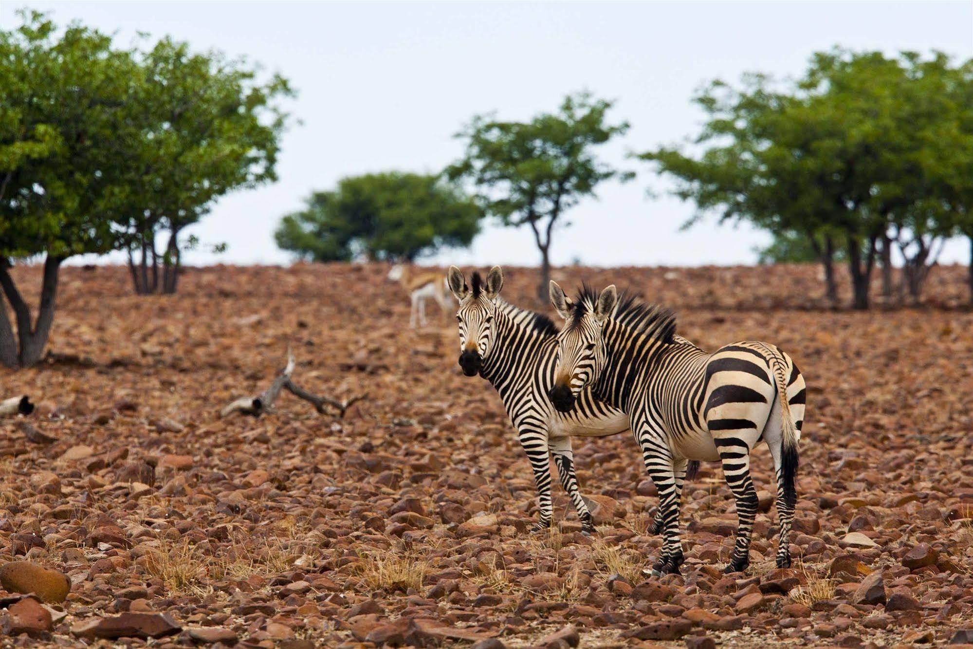 Grootberg Lodge ดามาราลันด์ ภายนอก รูปภาพ